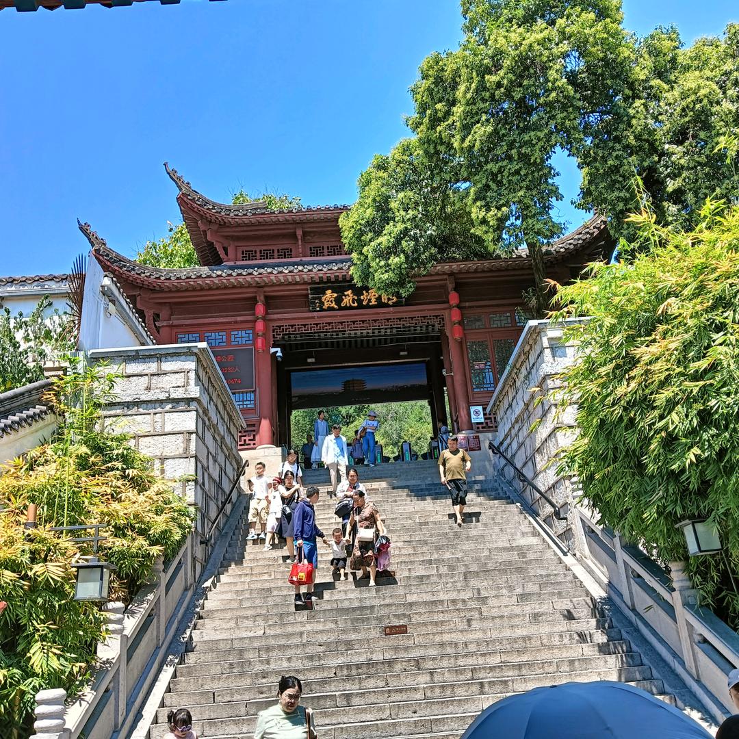 楚缘