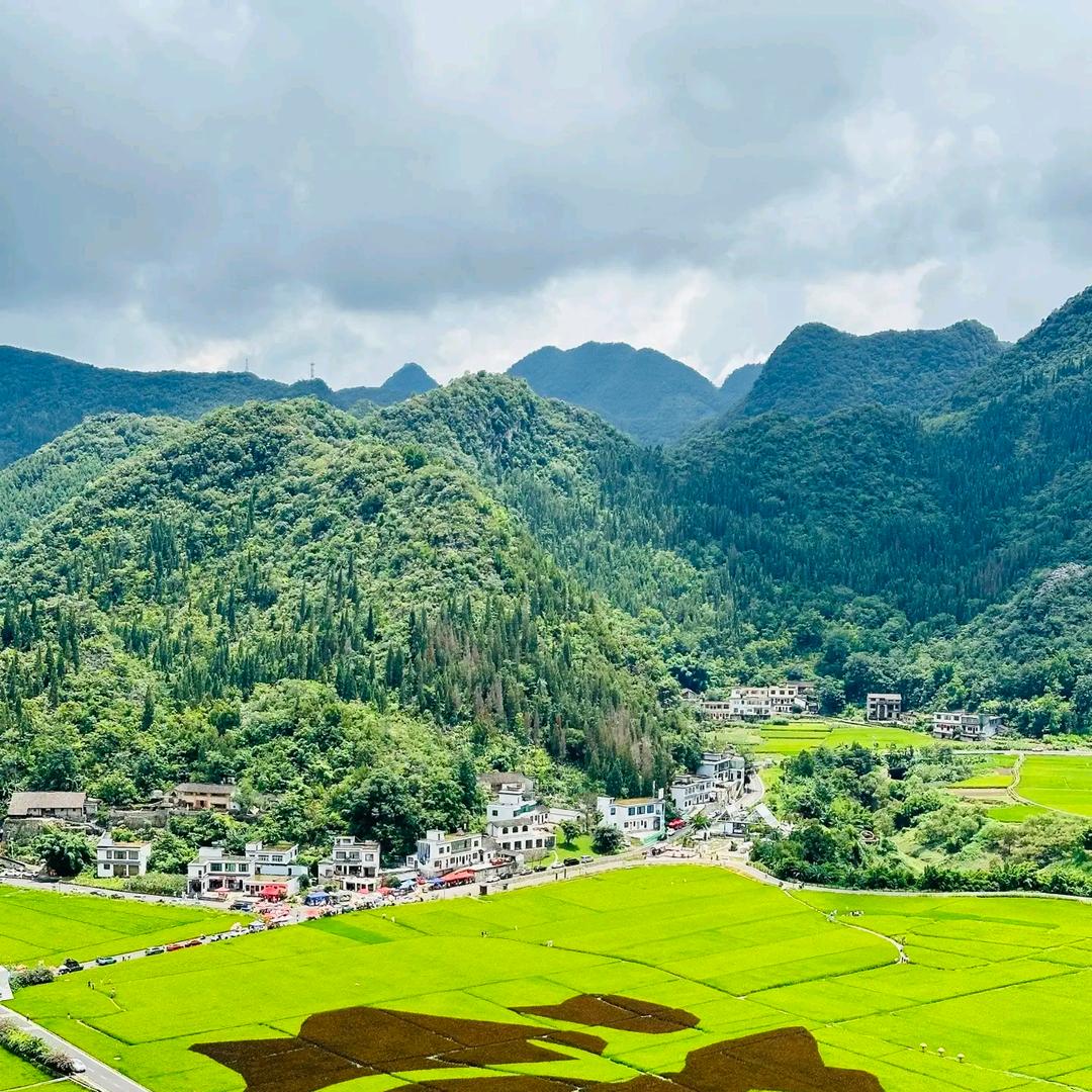 小甜传媒工作室（989）