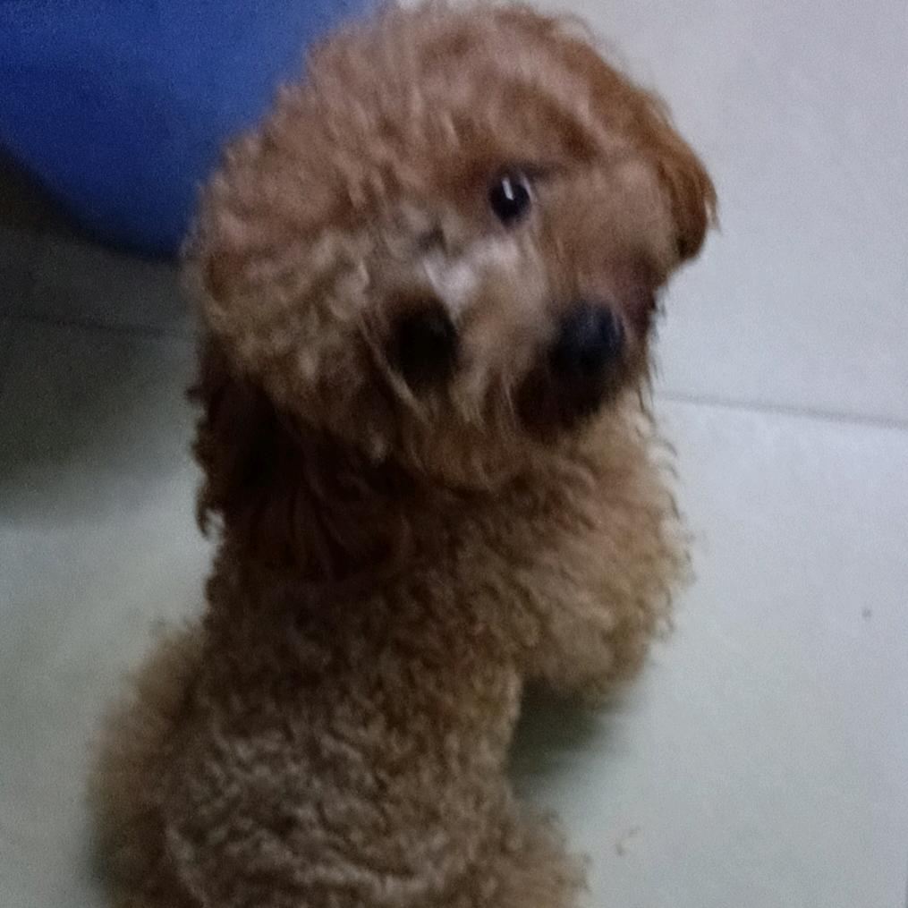 如意，糖果