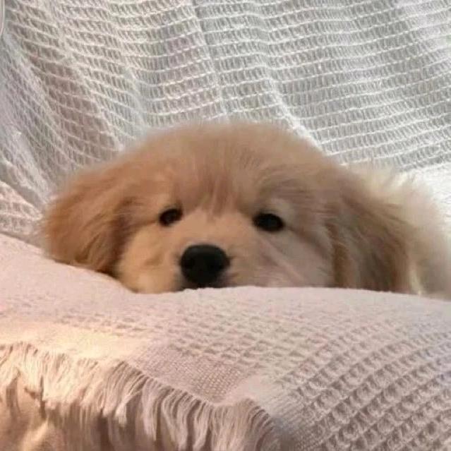 泥巴