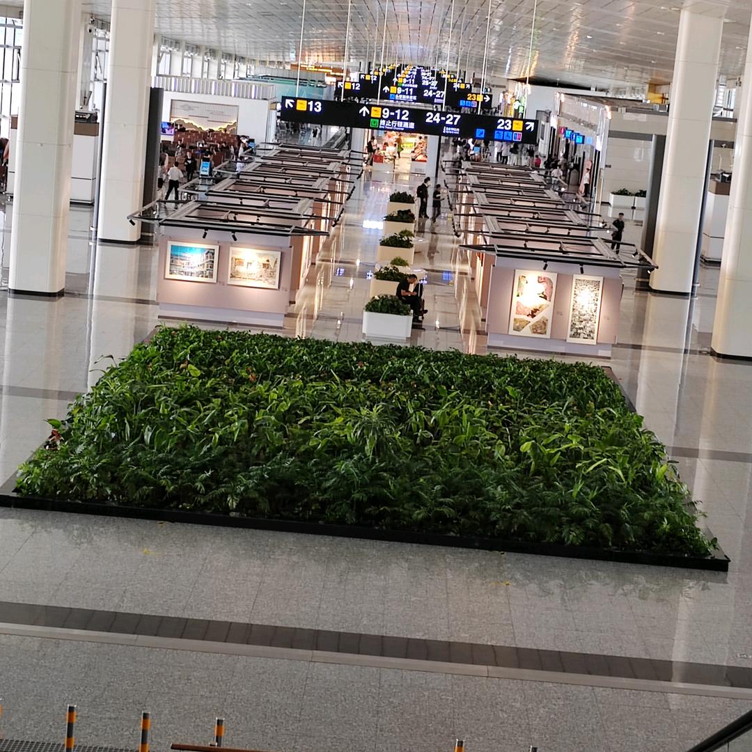 陌路相逢