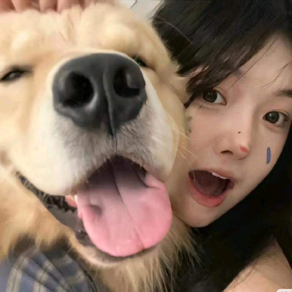 槐序十七✨