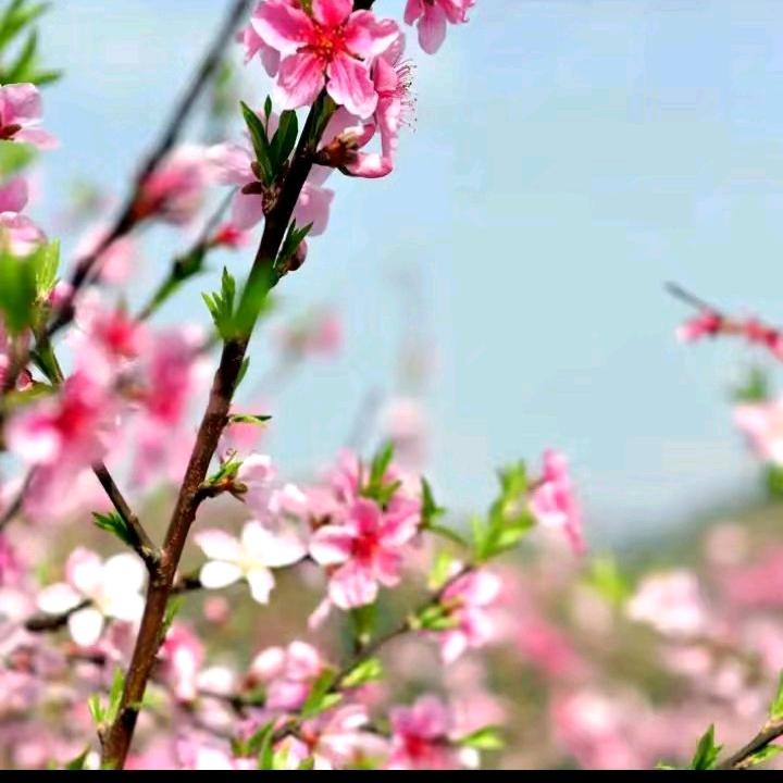 健康是福