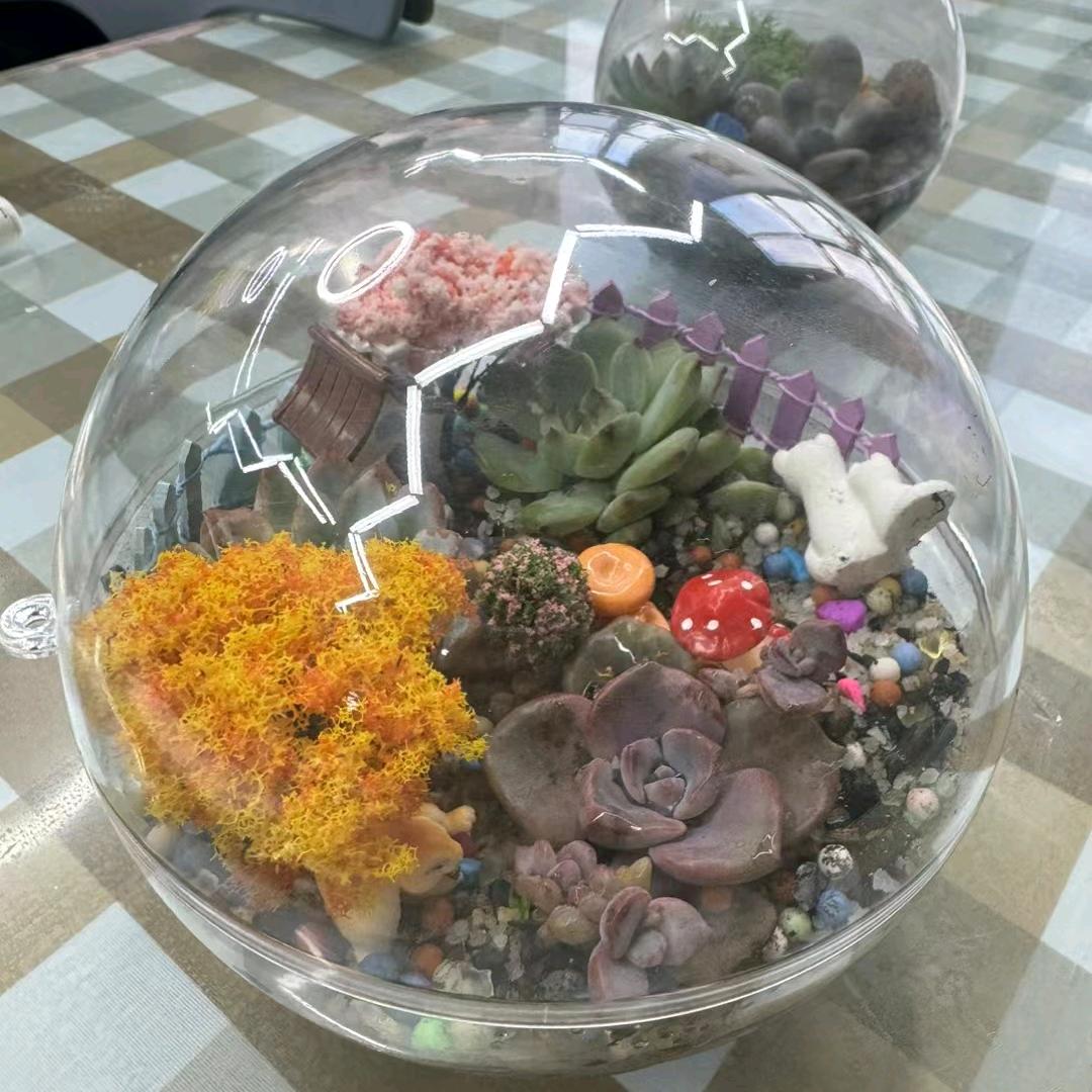 番茄童年美术DIY