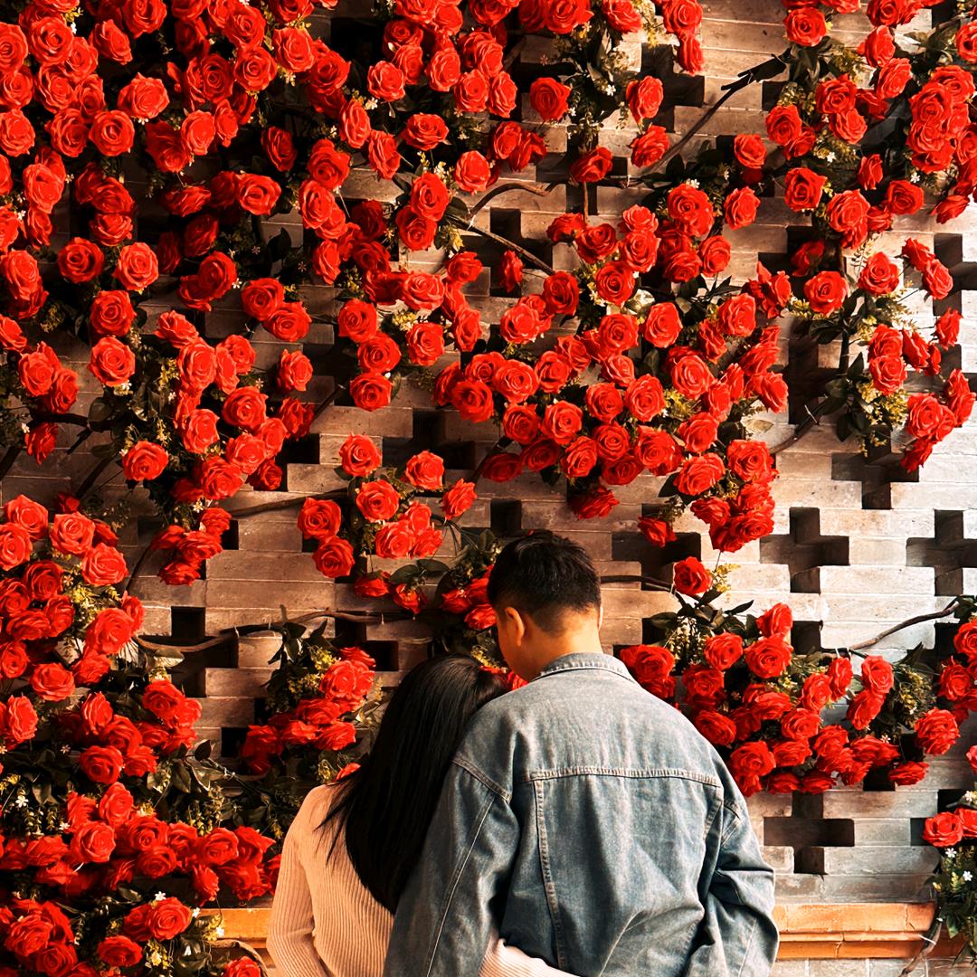 我真的只是张某人