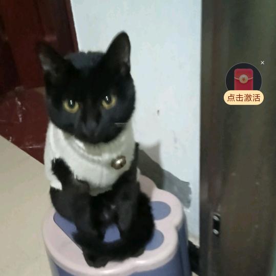 爱玩的人