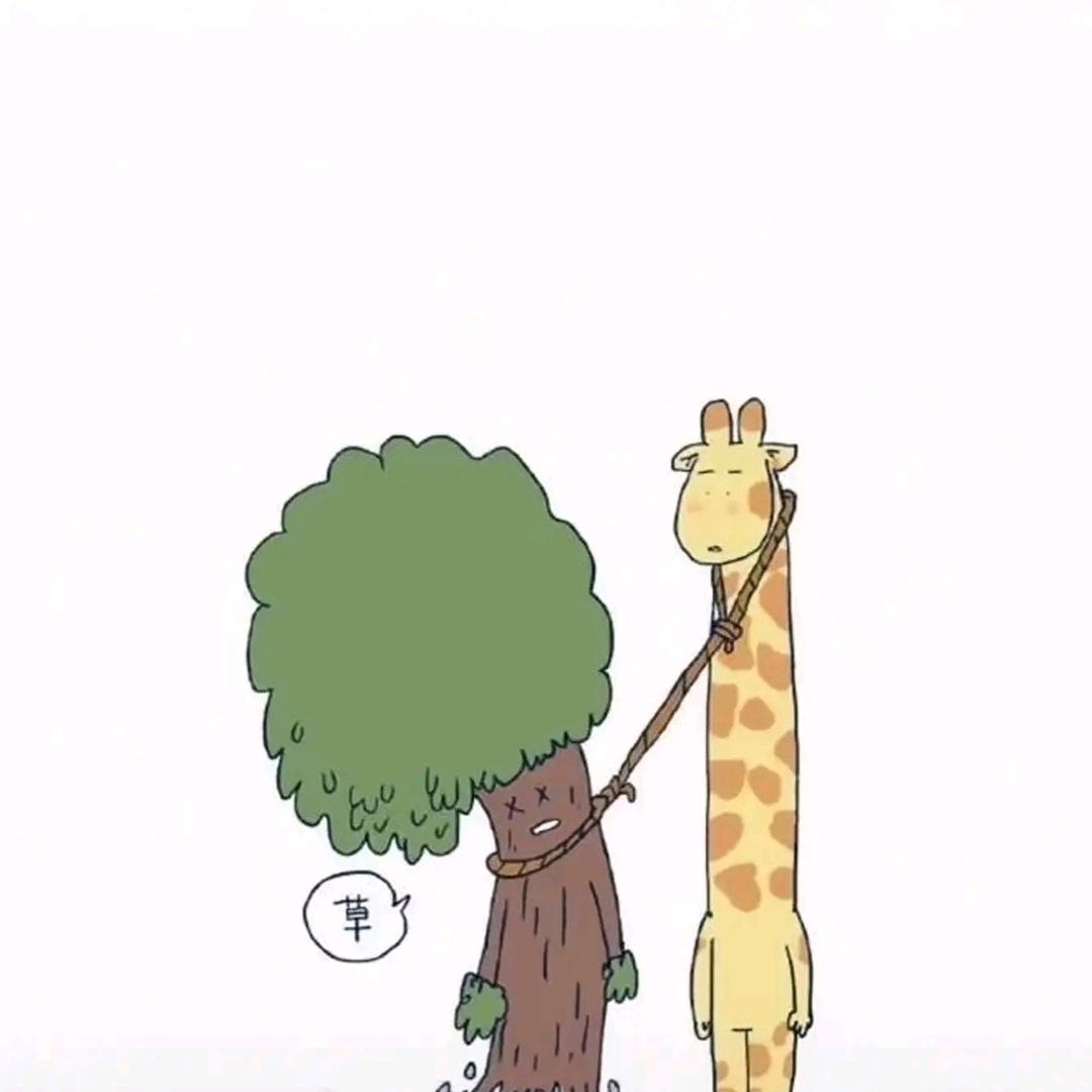 a狸の十二