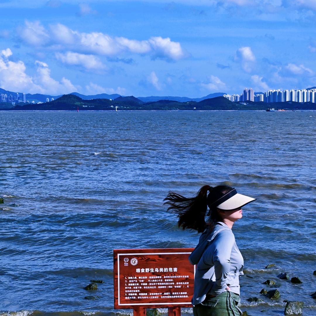 栗籽