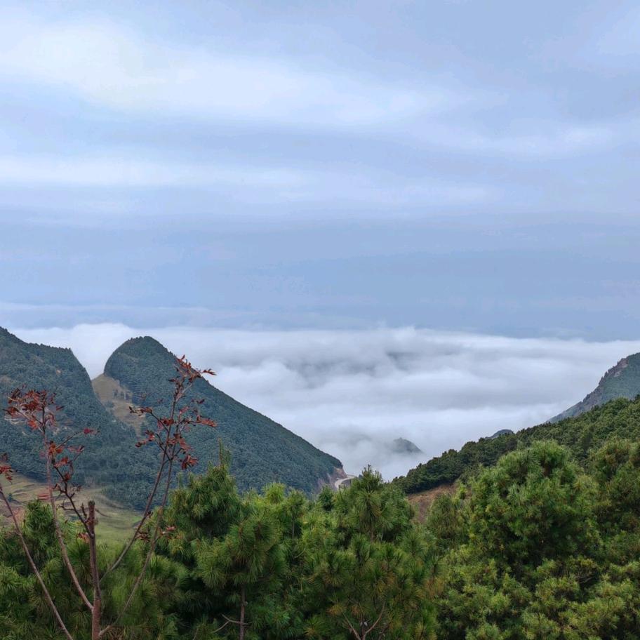 迟到的春天