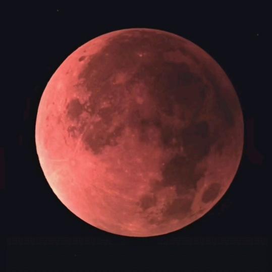 文