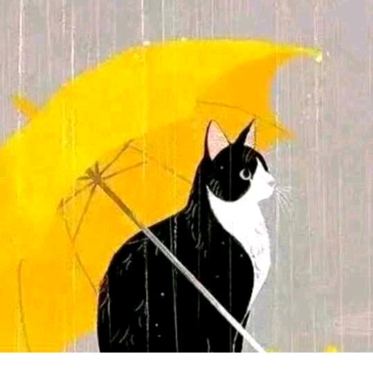 LOVE☔✨