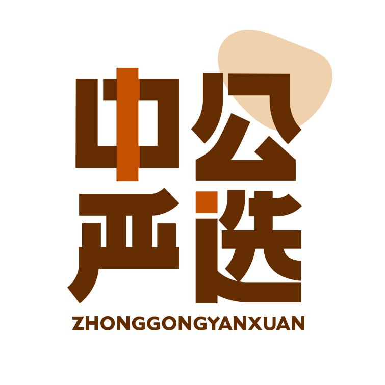 中公严选