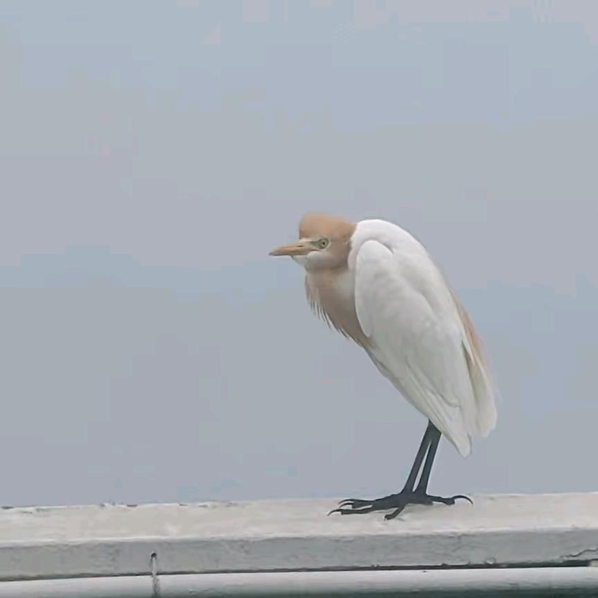 归零