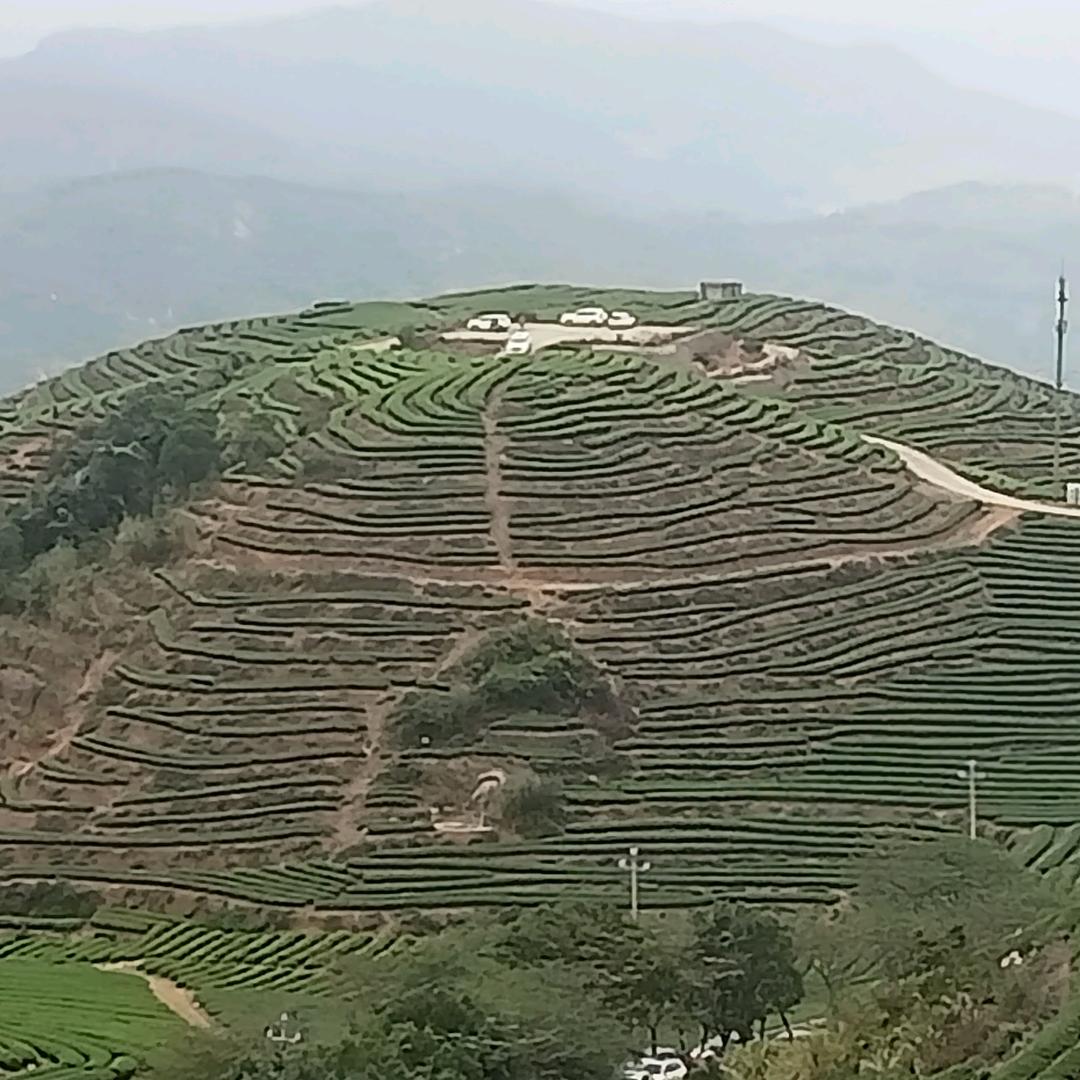 一曲红尘