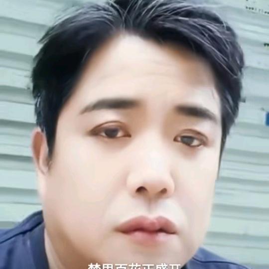 红城