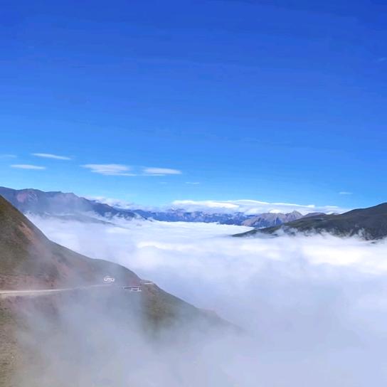 黑黑