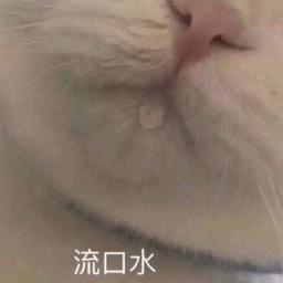 李皮皮