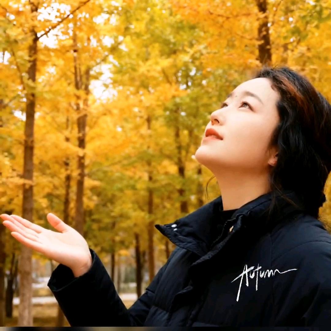 🍁嘎🍂桑🌸
