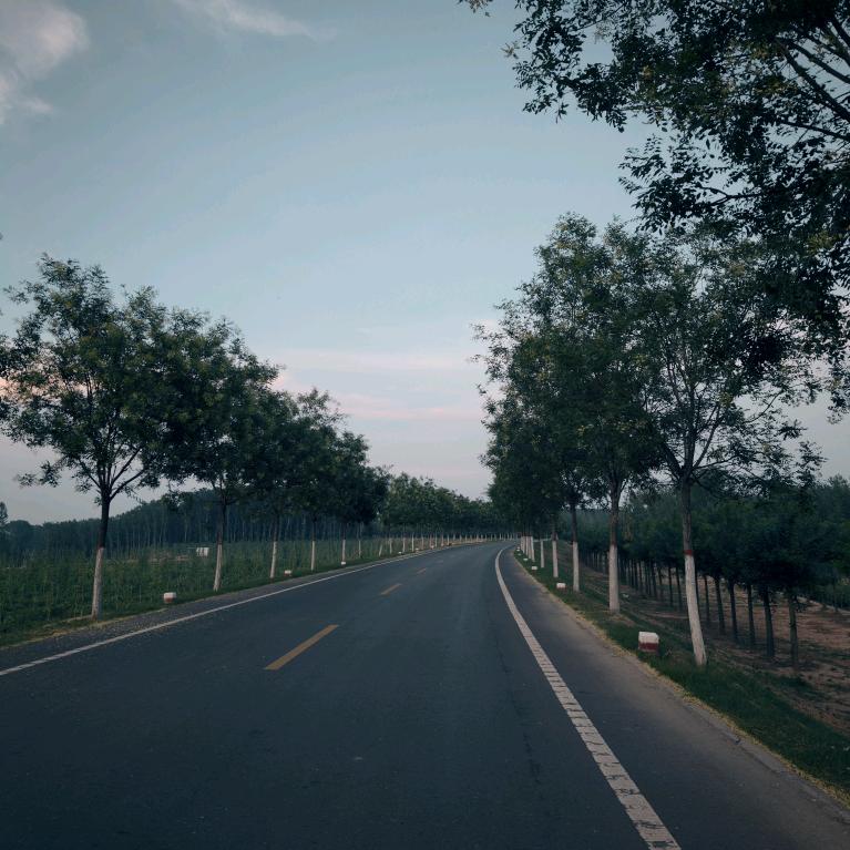 彤彤吖💕