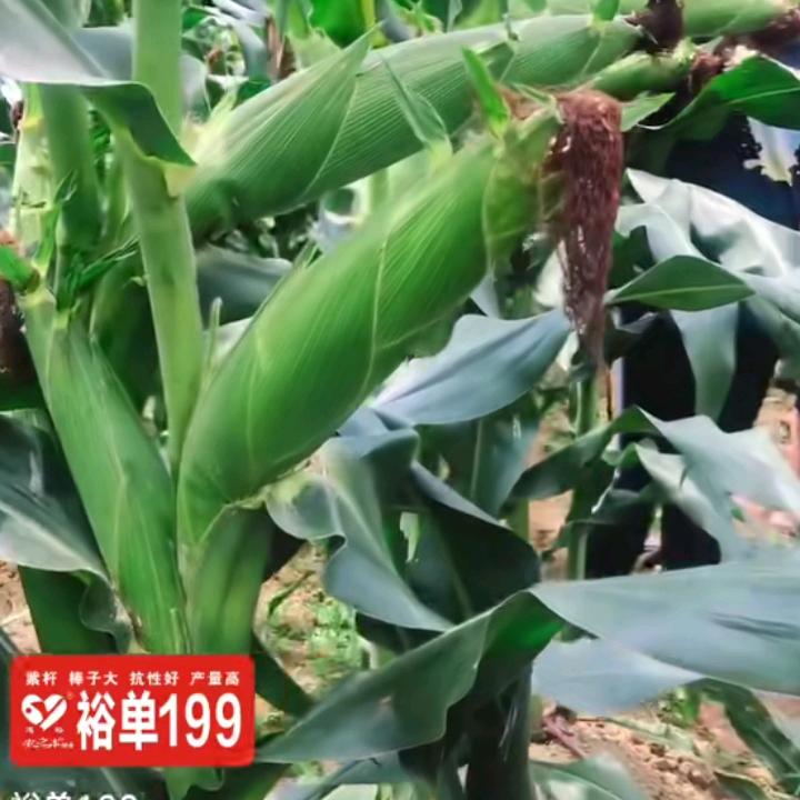 改变自己重新做人支