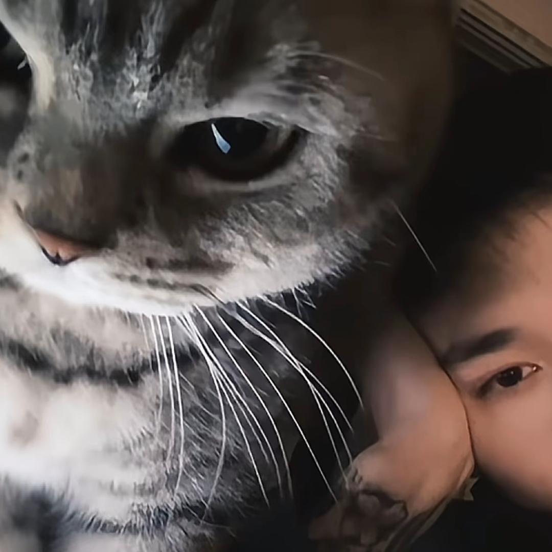 ™℡杨洋
