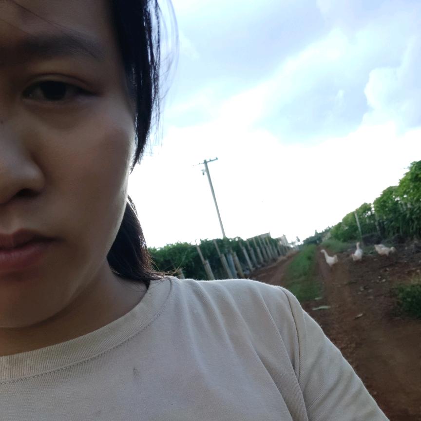 小秋秋呀。