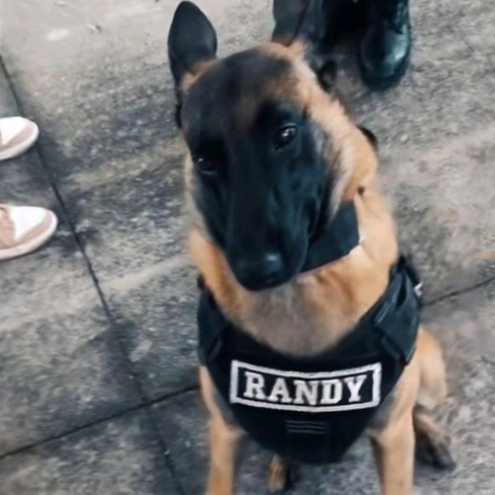 ── 展开 9837条回复 ⌵