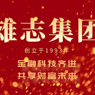 雄志集团不良资产
