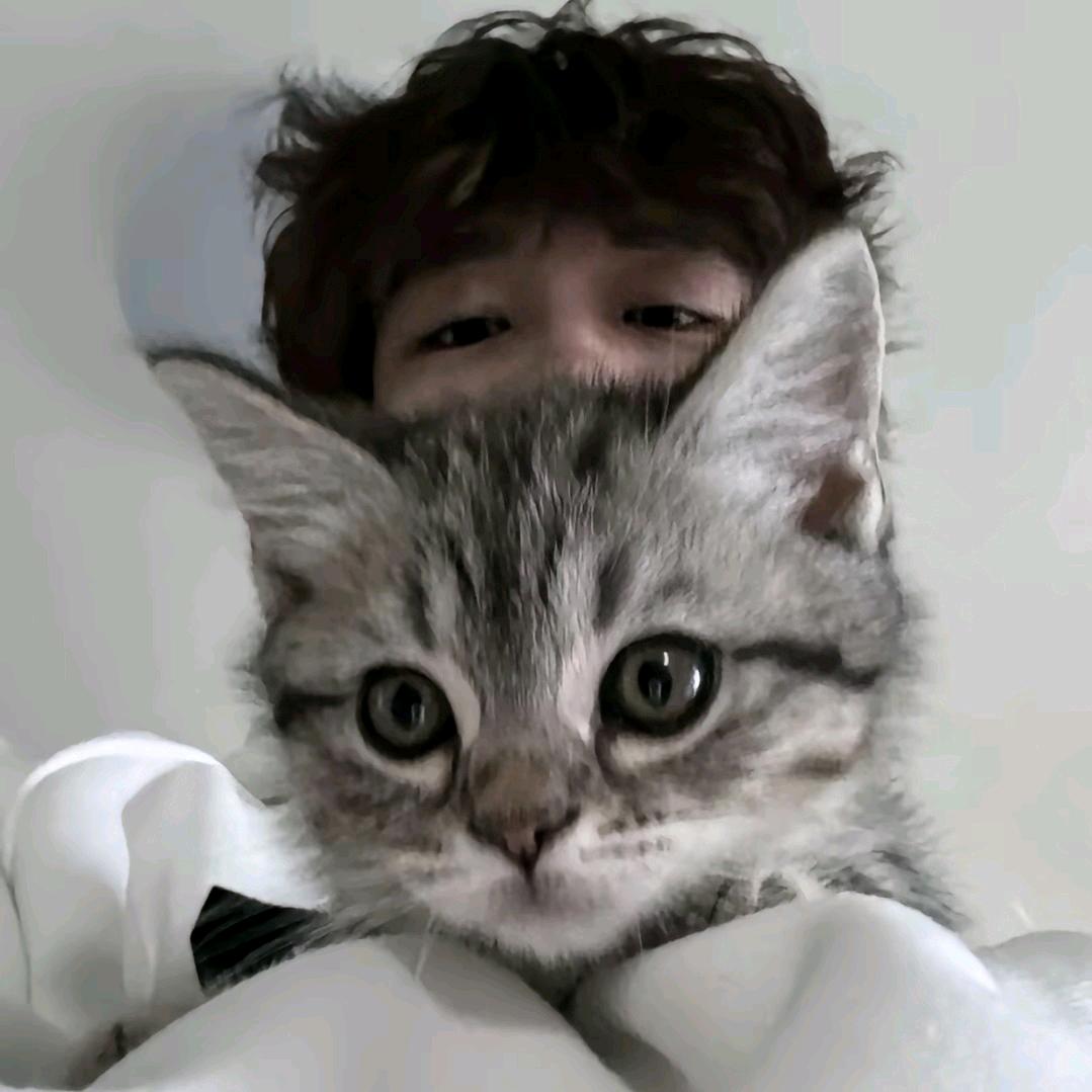 vivi_hh