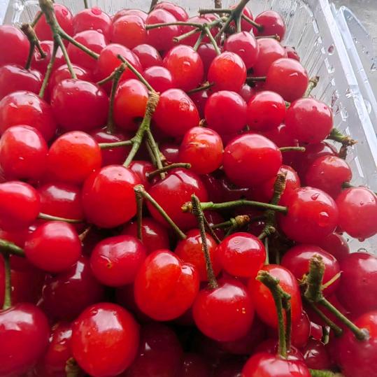 我非柠檬，为何♥酸！