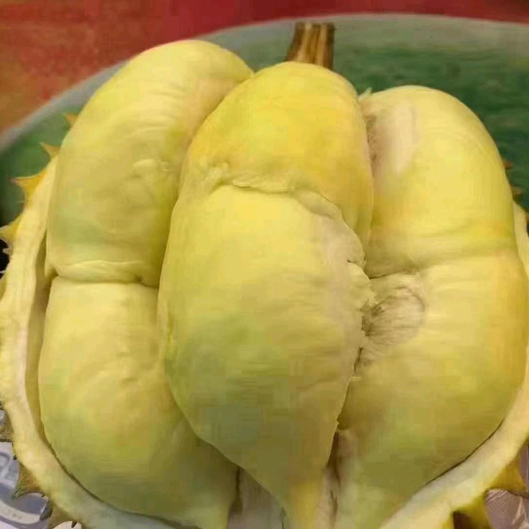 王富贵（榴莲季）