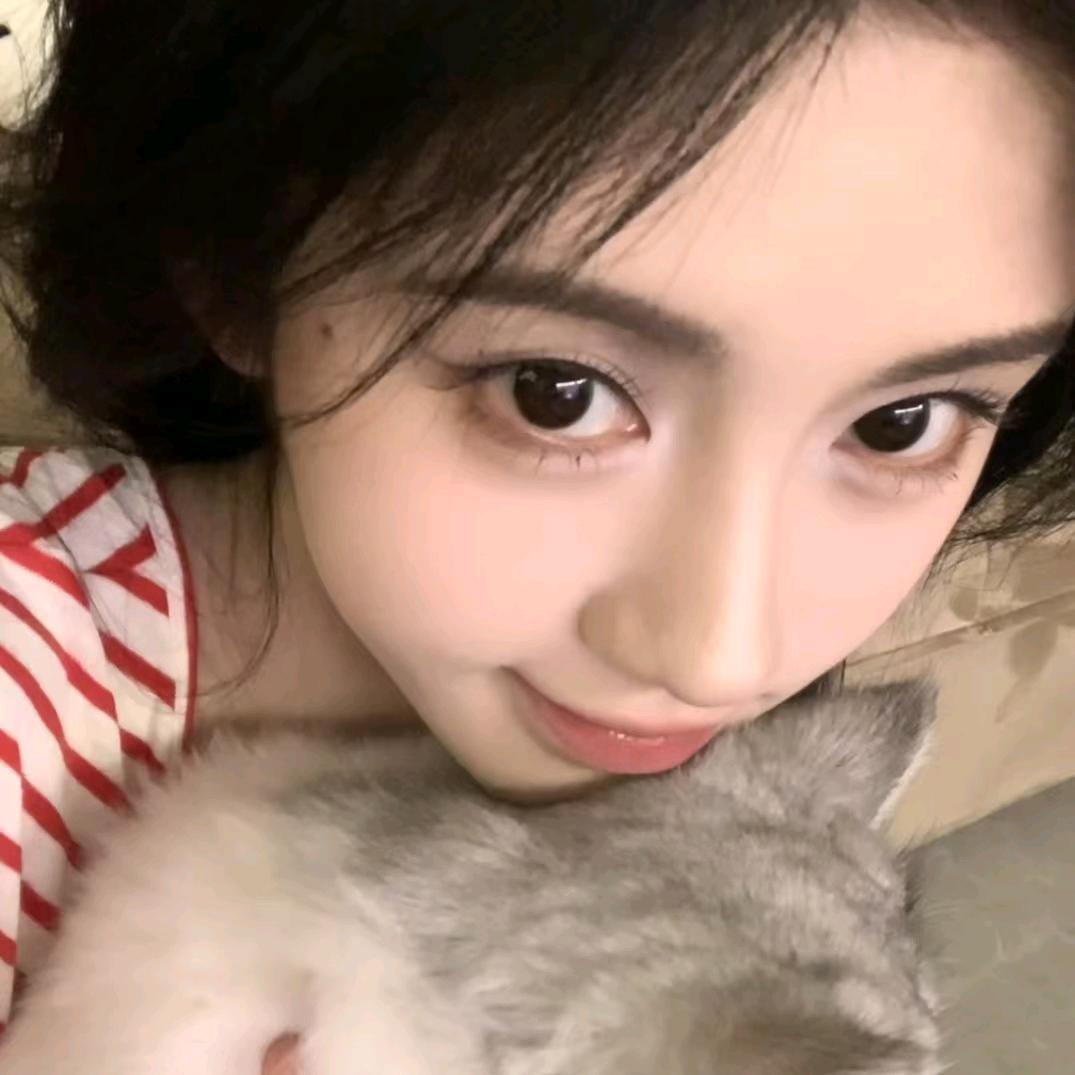 爱睡觉的灰色大肘子