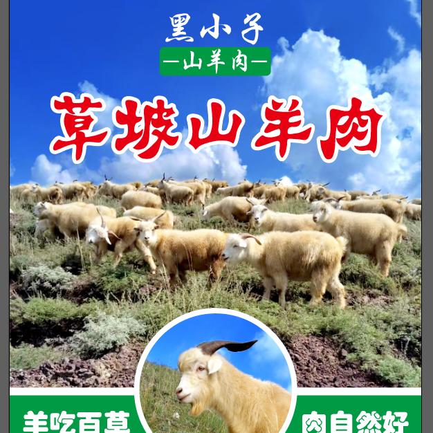 黑小子  山羊肉🐐