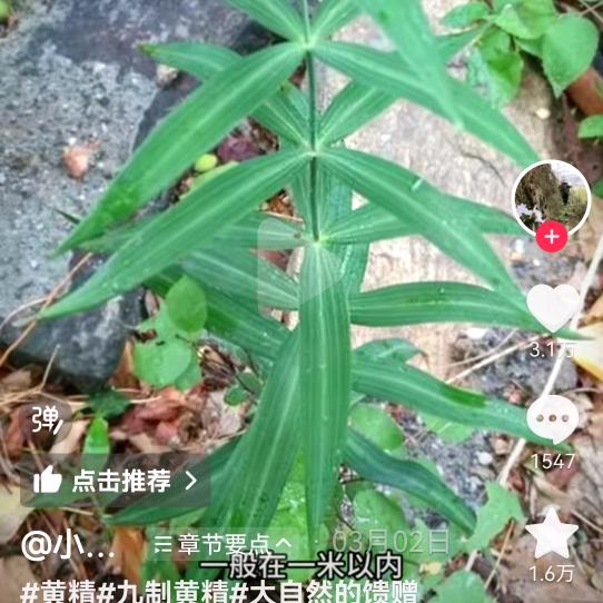 中华瑰宝