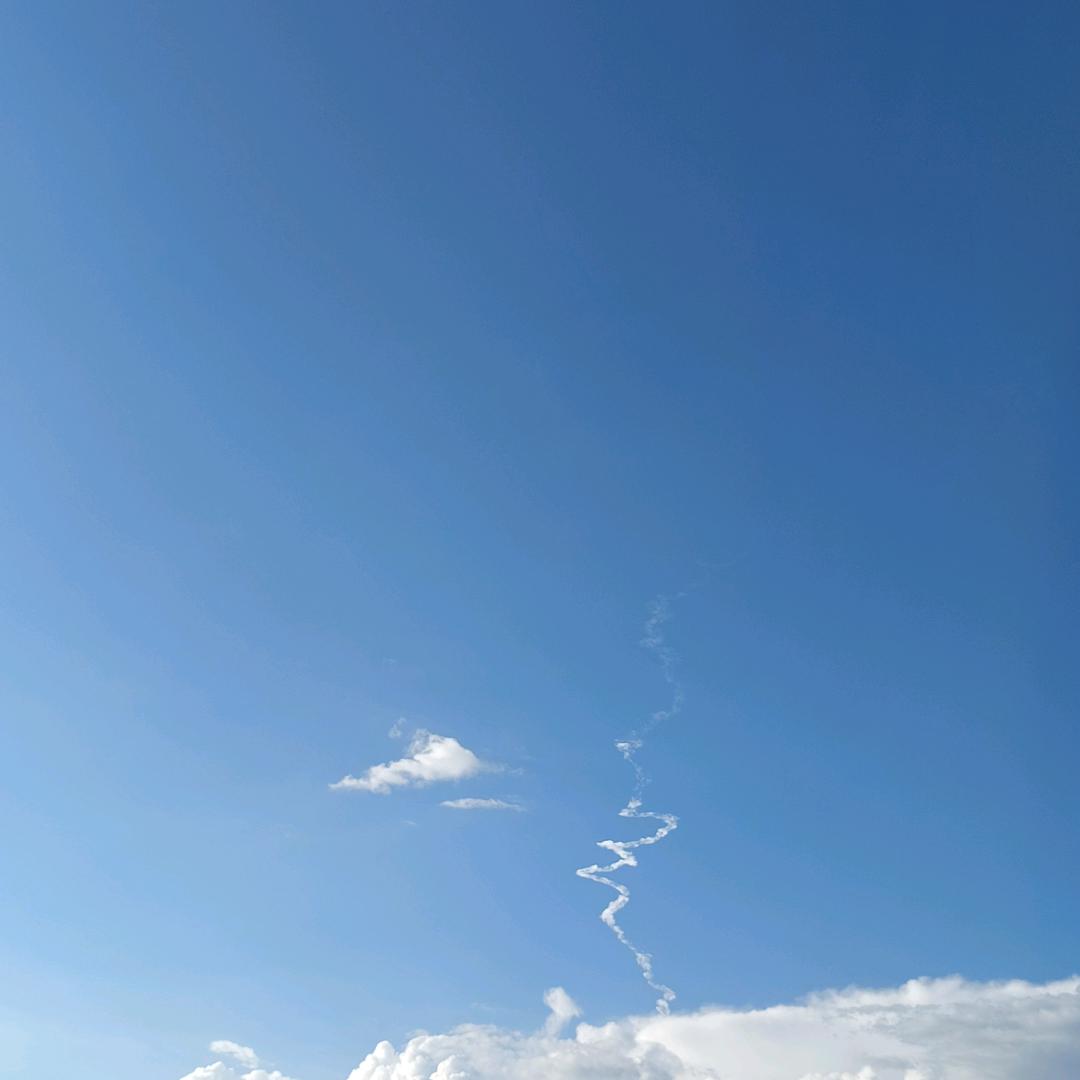 麦穗🌾