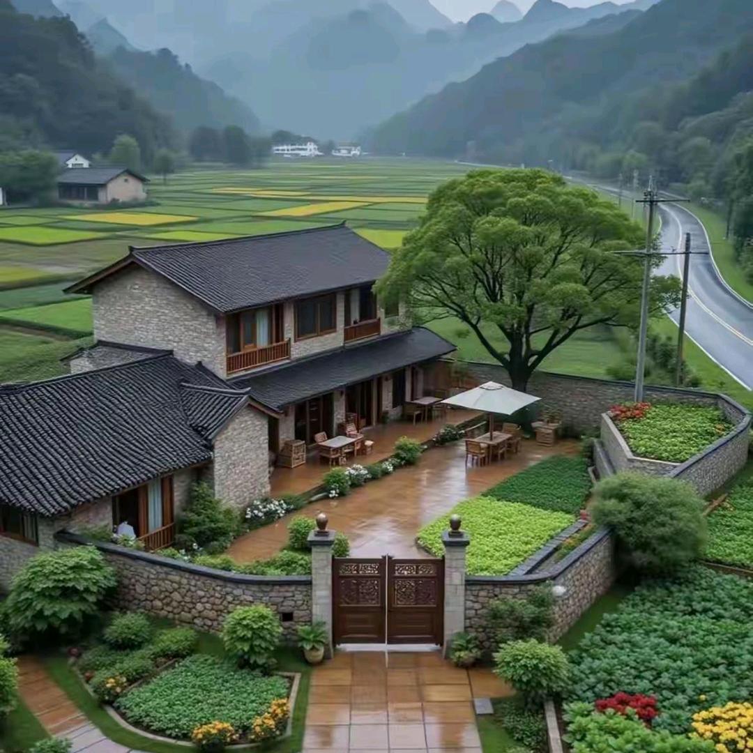 芬芬姐