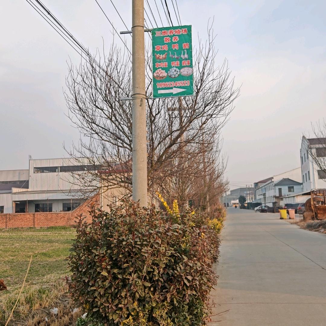 卖鸡鸭鹅的小赵（同城免费配送）