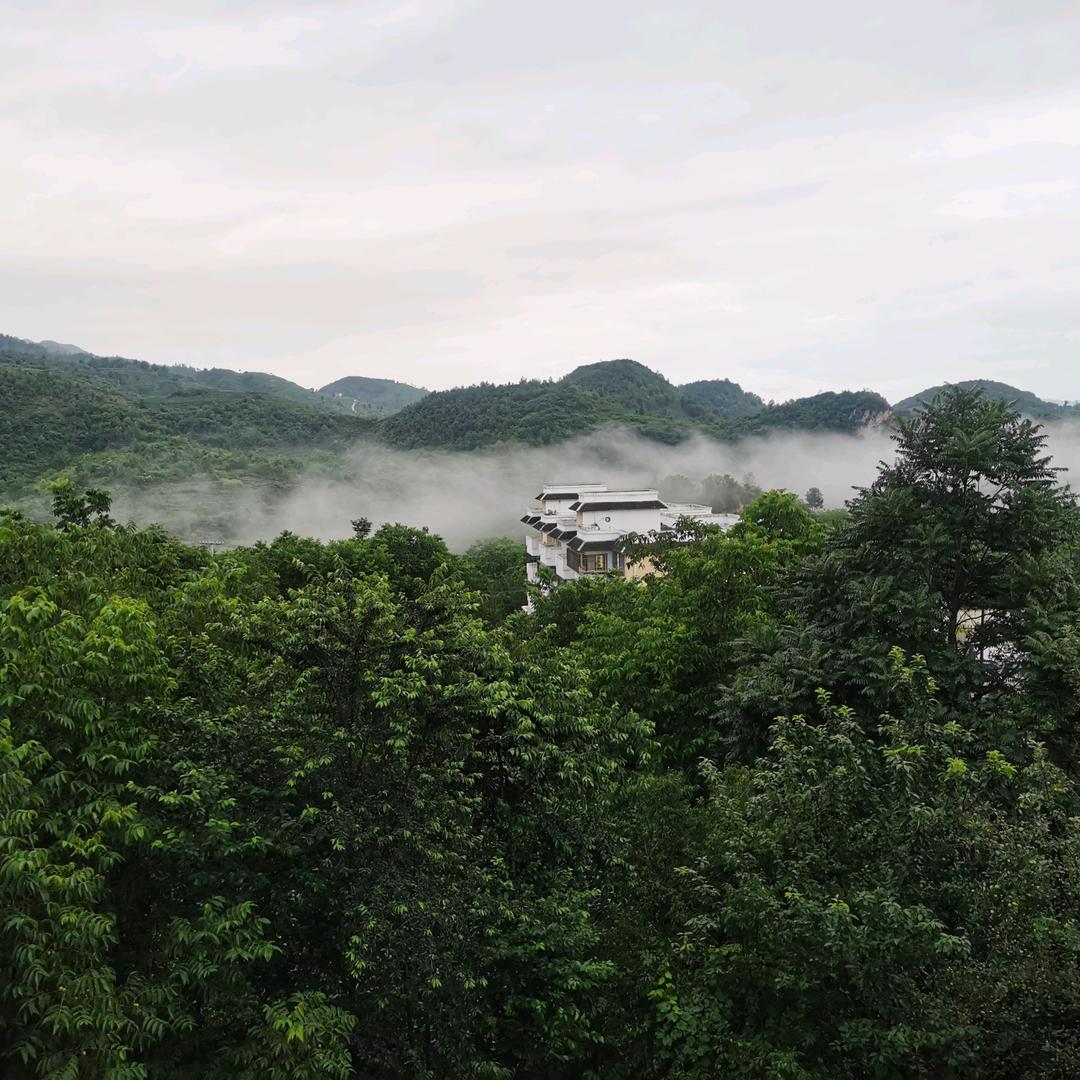 泰清好味源