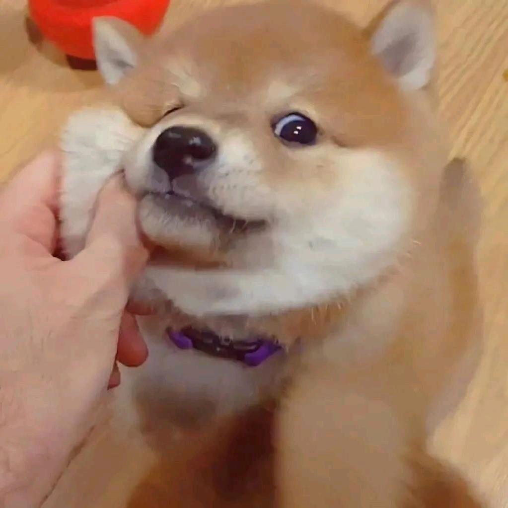 碚上秋菊小筑
