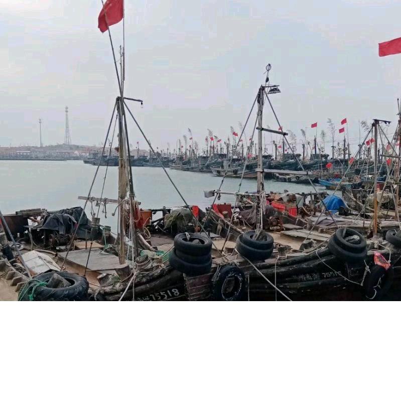 黄海猎鱼