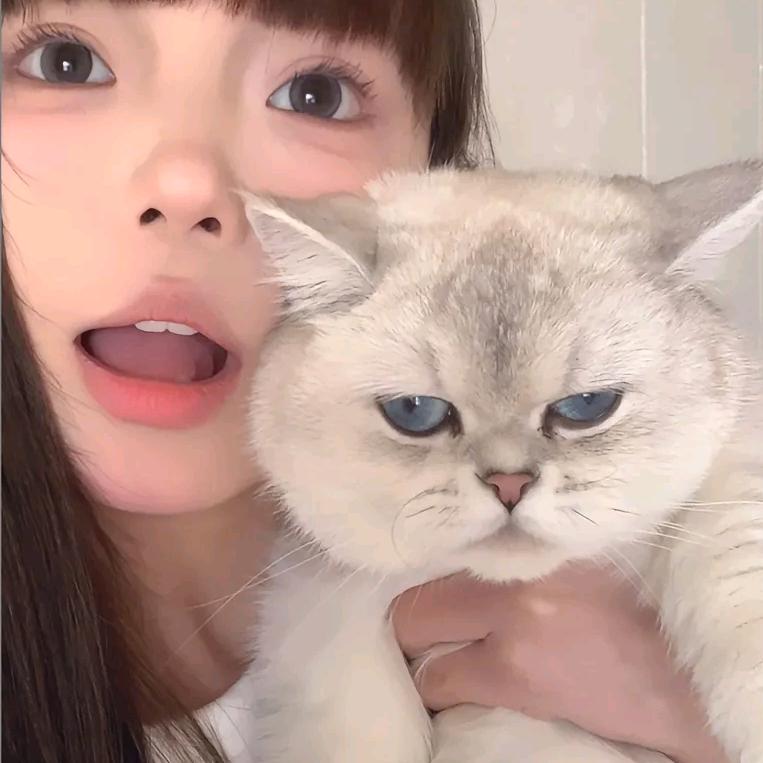 没素汁.