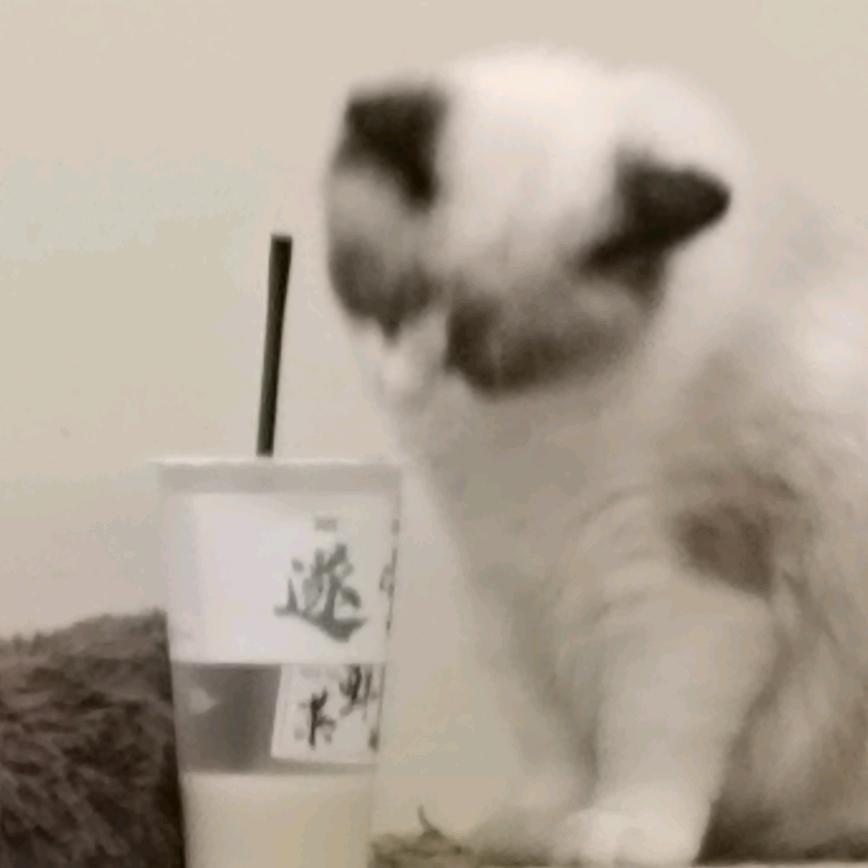 一朵娇花