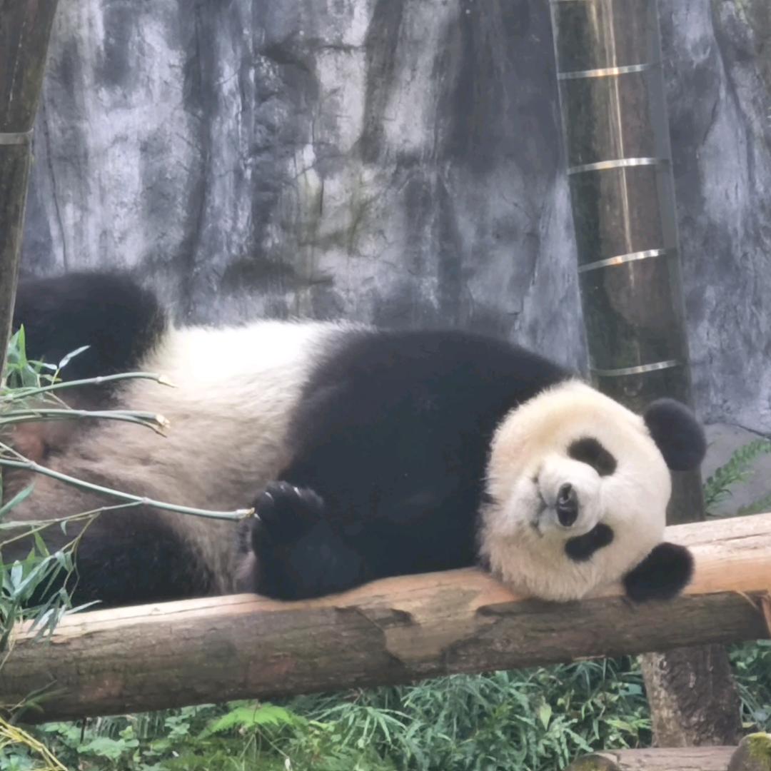 温暖洋洋