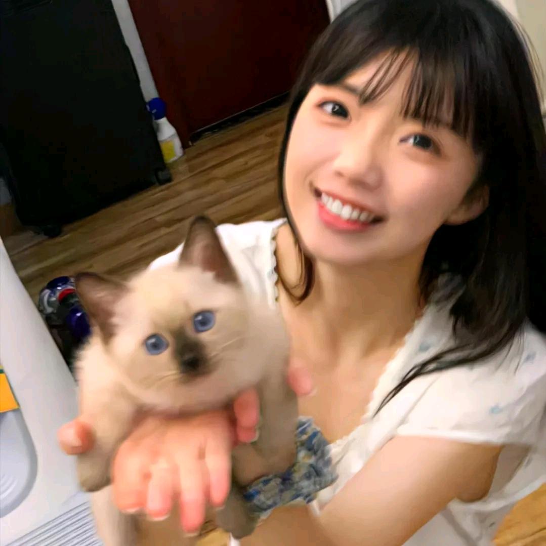 慧zi
