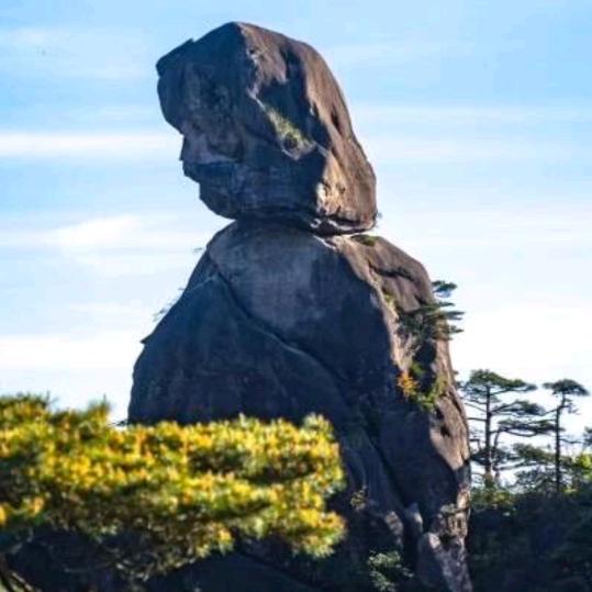许飞