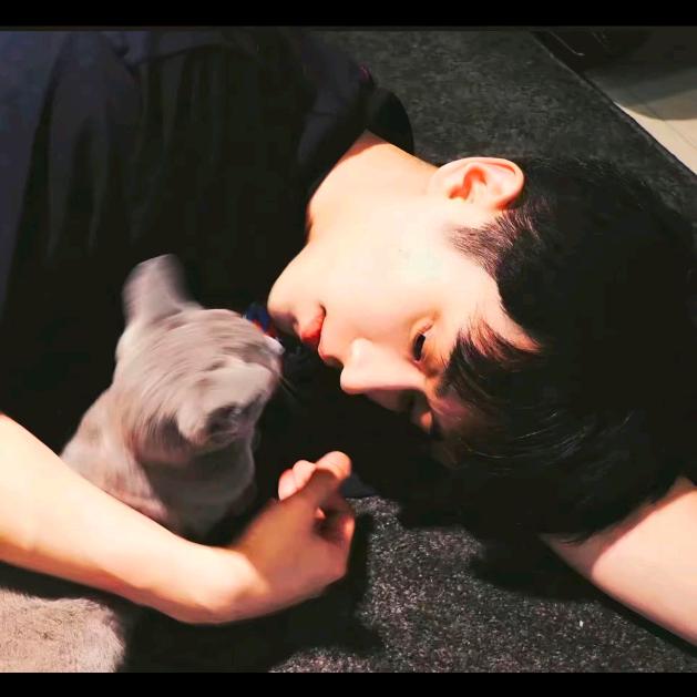 凯恩蓝迪小小爱