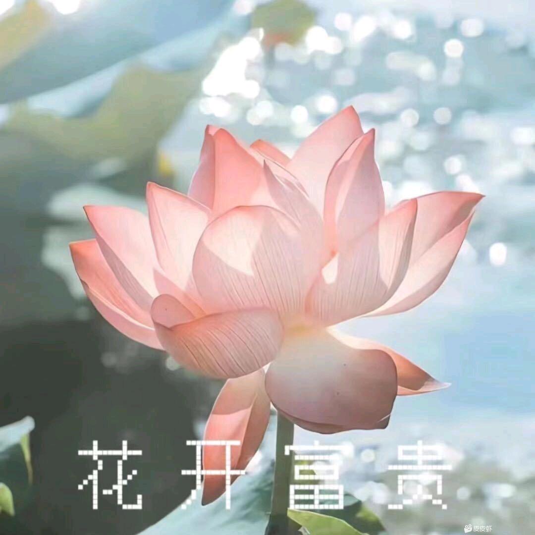 粉红色阳光男孩