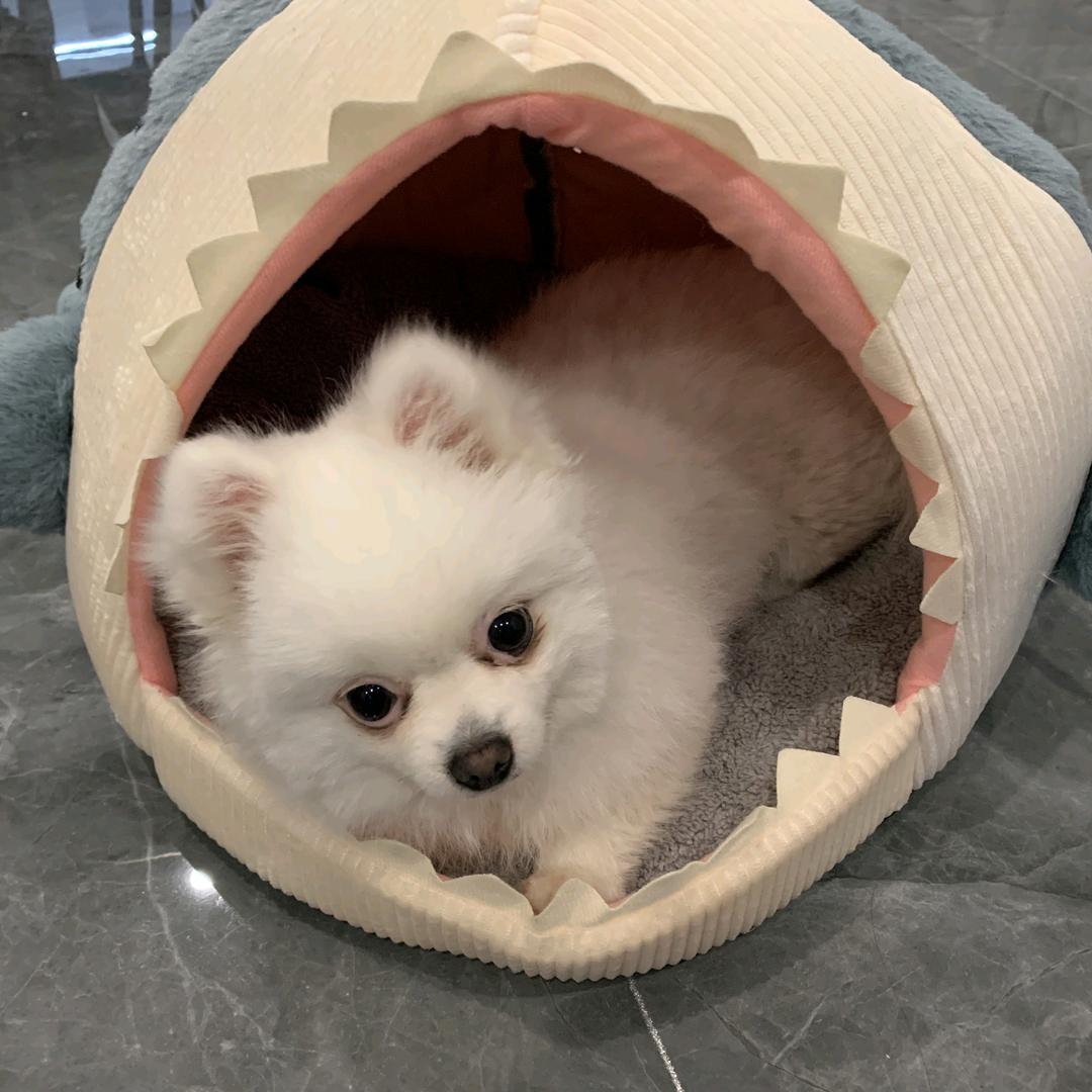 小时达全国配送