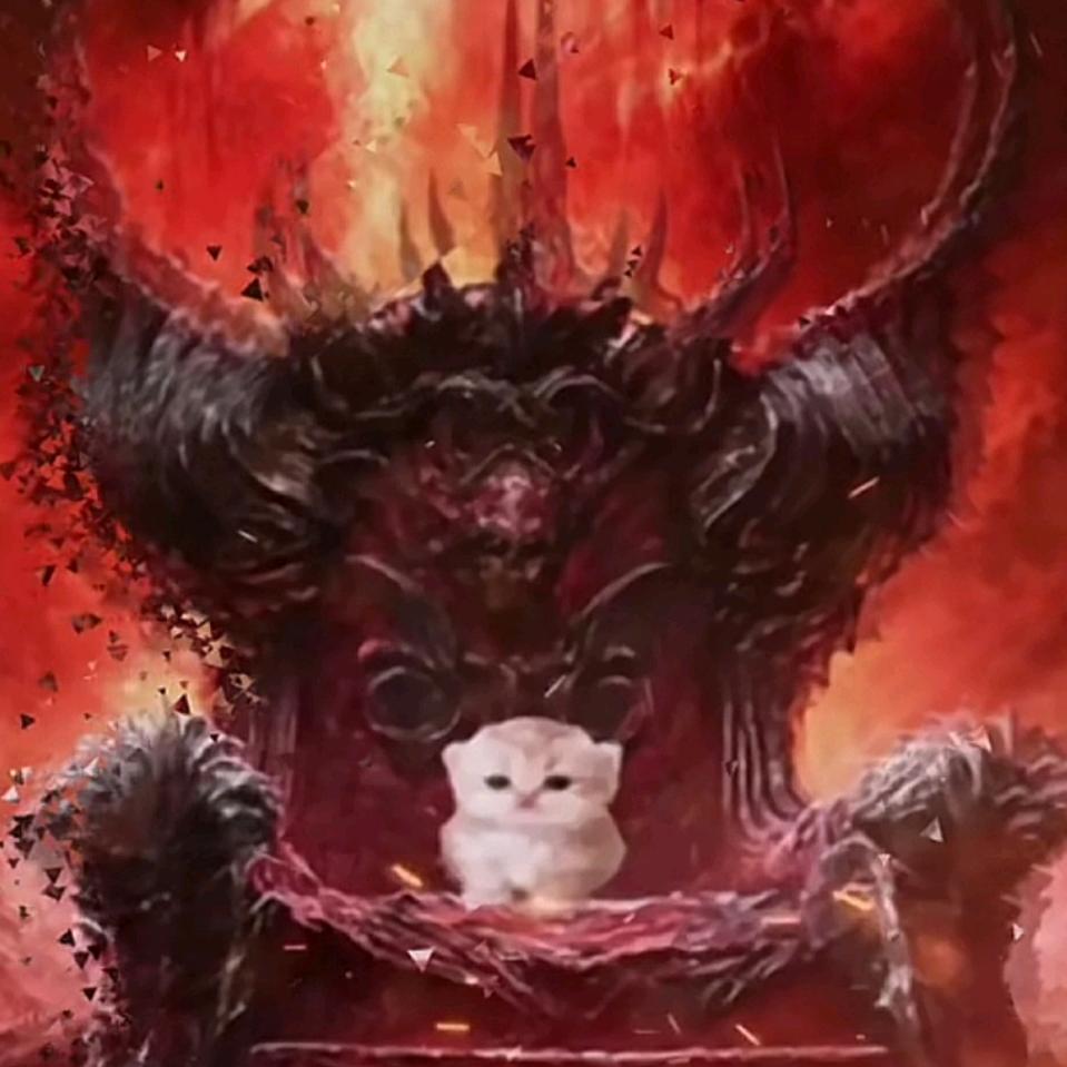 啪啦2024版