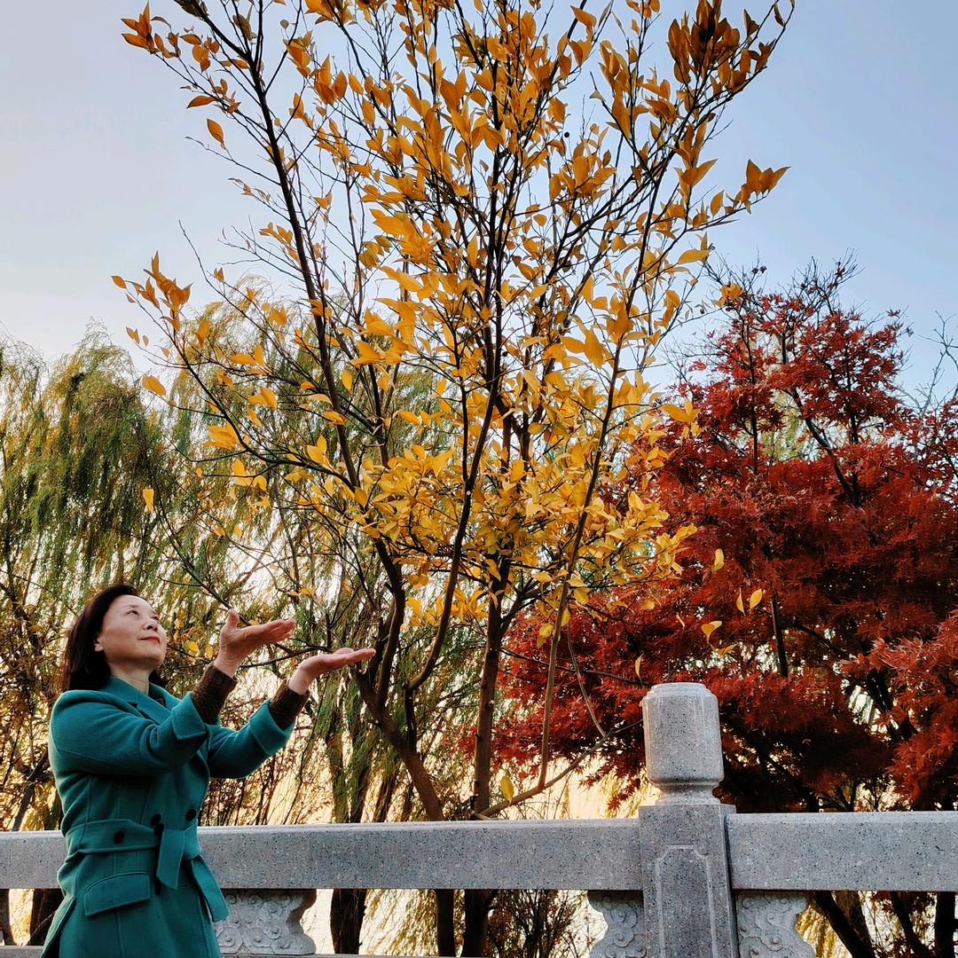 大自然装修（老房翻新专家）🌱曾穗